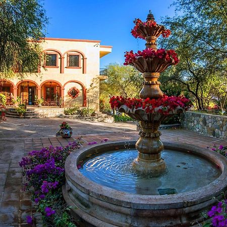 Loma De Guadalupe Alamos Sonora住宿加早餐旅馆 外观 照片